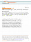 Research paper thumbnail of Ultra-strong bio-glue from genetically engineered polypeptides