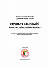 Research paper thumbnail of COVID-19 PANDEMİSİ VE DERİNLEŞEN EĞİTİM EŞİTSİZLİKLERİ