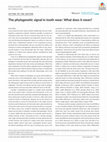 Research paper thumbnail of The phylogenetic signal in tooth wear: What does it mean