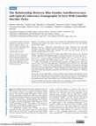 Research paper thumbnail of The Relationship Between Blue-Fundus Autofluorescence and Optical Coherence Tomography in Eyes With Lamellar Macular Holes