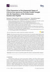 Research paper thumbnail of Gene Expression in Developmental Stages of Schistosoma japonicum Provides Further Insight into the Importance of the Schistosome Insulin-Like Peptide