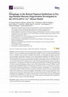 Research paper thumbnail of Mitophagy in the Retinal Pigment Epithelium of Dry Age-Related Macular Degeneration Investigated in the NFE2L2/PGC-1α-/- Mouse Model