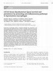 Research paper thumbnail of CD163 favors Mycobacterium leprae survival and persistence by promoting anti-inflammatory pathways in lepromatous macrophages