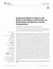 Research paper thumbnail of A Network Model to Explore the Effect of the Micro-environment on Endothelial Cell Behavior during Angiogenesis