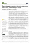 Research paper thumbnail of -Application of K and Zn Influences the Mineral Accumulation More in Hybrid Than Inbred Maize Cultivars