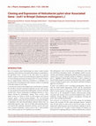 Research paper thumbnail of Cloning and Expression of Helicobacter pylori ulcer Associated Gene -iceA1 in Brinjal (Solanum melongena L