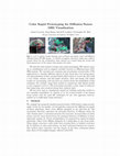 Research paper thumbnail of Color Rapid Prototyping for Diffusion-Tensor MRI Visualization