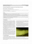 Research paper thumbnail of Unusual Foreign Bone Fragment in Femoral Open Fracture