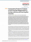 Research paper thumbnail of Comparative Proteomic Analysis in Scar-Free Skin Regeneration in Acomys cahirinus and Scarring Mus musculus