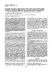 Research paper thumbnail of Transfer of genetic information of the rp49 region of Drosophila subobscura between different chromosomal gene arrangements