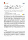 Research paper thumbnail of In-Vitro Application of a Qatari Burkholderia cepacia strain (QBC03) in the Biocontrol of Mycotoxigenic Fungi and in the Reduction of Ochratoxin A biosynthesis by Aspergillus carbonarius