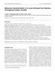 Research paper thumbnail of Molecular characterization of a novel chitinase from Bacillus thuringiensis subsp. kurstaki