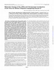 Research paper thumbnail of Molecular cloning of the cDNA and chromosome localization of the gene for human ubiquitin-conjugating enzyme 9