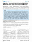 Research paper thumbnail of Differential Temporal and Spatial Progerin Expression during Closure of the Ductus Arteriosus in Neonates