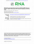 Research paper thumbnail of Mechanism of escape from nonsense-mediated mRNA decay of human  -globin transcripts with nonsense mutations in the first exon