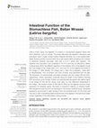 Research paper thumbnail of Intestinal Function of the Stomachless Fish, Ballan Wrasse (Labrus bergylta)