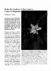 Research paper thumbnail of Molecular Analysis: A New Look at Umbrella Magnolias