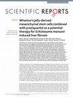 Research paper thumbnail of Wharton’s jelly-derived mesenchymal stem cells combined with praziquantel as a potential therapy for Schistosoma mansoni-induced liver fibrosis