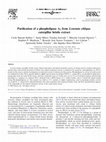 Research paper thumbnail of BBRC Purification of a phospholipase A 2 from Lonomia obliqua caterpillar bristle extract