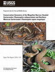 Research paper thumbnail of Conservation genomics of the Mogollon Narrow-headed gartersnake (Thamnophis rufipunctatus) and Northern Mexican gartersnake (Thamnophis eques megalops)