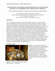 Research paper thumbnail of Stabilization and Storage of Solid Radioactive Waste from the Russian Navy's Northern Fleet Under the Amec Program