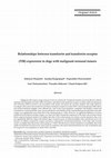 Research paper thumbnail of Relationships between transferrin and transferrin receptor (TfR) expression in dogs with malignant oronasal tumors