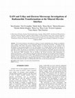 Research paper thumbnail of XAFS and X-Ray and Electron Microscopy Investigations of Radionuclide Transformations at the Mineral-Microbe Interface