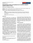 Research paper thumbnail of Histopathological changes in the hepatopancreas of Lamellidens marginalis exposed to cadmium in winter