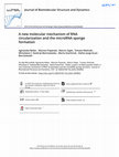 Research paper thumbnail of A new molecular mechanism of RNA circularization and the microRNA sponge formation