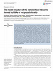 Research paper thumbnail of The model structure of the hammerhead ribozyme formed by RNAs of reciprocal chirality