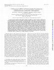 Research paper thumbnail of 3'-Processed mRNA is preferentially translated in Chlamydomonas reinhardtii chloroplasts