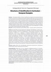 Research paper thumbnail of Structures of identification in Curriculum – European examples