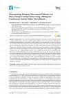 Research paper thumbnail of Determining Stingray Movement Patterns in a Wave-Swept Coastal Zone Using a Blimp for Continuous Aerial Video Surveillance