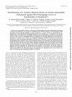 Research paper thumbnail of Identification of a Putative Mexican Strain of Serratia entomophila Pathogenic against Root-Damaging Larvae of Scarabaeidae (Coleoptera