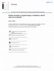 Research paper thumbnail of Kidney atrophy vs hypertrophy in diabetes: which cells are involved?