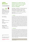 Research paper thumbnail of Deciphering the complex three-way interaction between the non-integrin laminin receptor, galectin-3 and Neisseria meningitidis