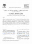 Research paper thumbnail of Synthesis and utilisation of folate by yoghurt starter cultures and probiotic bacteria