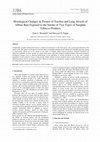 Research paper thumbnail of Histological Changes in Tissues of Trachea and Lung Alveoli of Albino Rats Exposed to the Smoke of Two Types of Narghile Tobacco Products