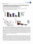 Research paper thumbnail of Caenorhabditis elegans strain sensitivity to sodium arsenite exposure is varied based on age and outcome measured