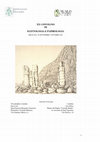 Research paper thumbnail of Gente e luoghi di Antinoupolis: considerazioni metodologiche sulla storia urbana dell'Egitto romano e bizantino