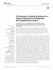 Research paper thumbnail of The Nontoxic Cholera B Subunit Is a Potent Adjuvant for Intradermal DC-Targeted Vaccination