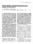 Research paper thumbnail of Thermal hyperalgesia in association with the development of morphine tolerance in rats: roles of excitatory amino acid receptors and protein kinase C