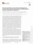 Research paper thumbnail of The Concerted Action of Two B3-Like Prophage Genes Excludes Superinfecting Bacteriophages by Blocking DNA Entry into Pseudomonas aeruginosa