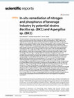 Research paper thumbnail of In-situ remediation of nitrogen and phosphorus of beverage industry by potential strains Bacillus sp. (BK1) and Aspergillus sp. (BK2)