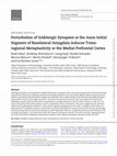 Research paper thumbnail of Perturbation of GABAergic Synapses at the Axon Initial Segment of Basolateral Amygdala Induces Trans-regional Metaplasticity at the Medial Prefrontal Cortex