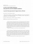 Research paper thumbnail of Un peculiar vidrio romano hallado en «Augusta Emerita» (Mérida) = A peculiar Roman glass found in Augusta Emerita (Mérida