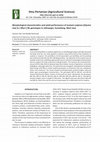 Research paper thumbnail of Morphological characteristics and yield performance of mutant soybean [Glycine max (L.) Merr.] M6 genotypes in Jatinangor, Sumedang, West Java