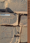 Research paper thumbnail of Archaeological report on the excavation of a post-Meroitic necropolis at el-Madanab (Shahid Rescue Archaeological Project)