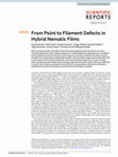 Research paper thumbnail of Hybrid nematic films