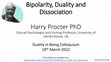 Research paper thumbnail of Bipolarity, Duality and Dissociation